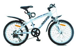 Xe đạp trẻ em - MTB 2001 (20