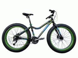 Xe đạp thể thao TrinX Fat Bike M516DC