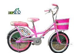 Xe đạp 20K-001(20