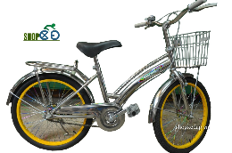 Xe đạp trẻ em 20INOX-L2