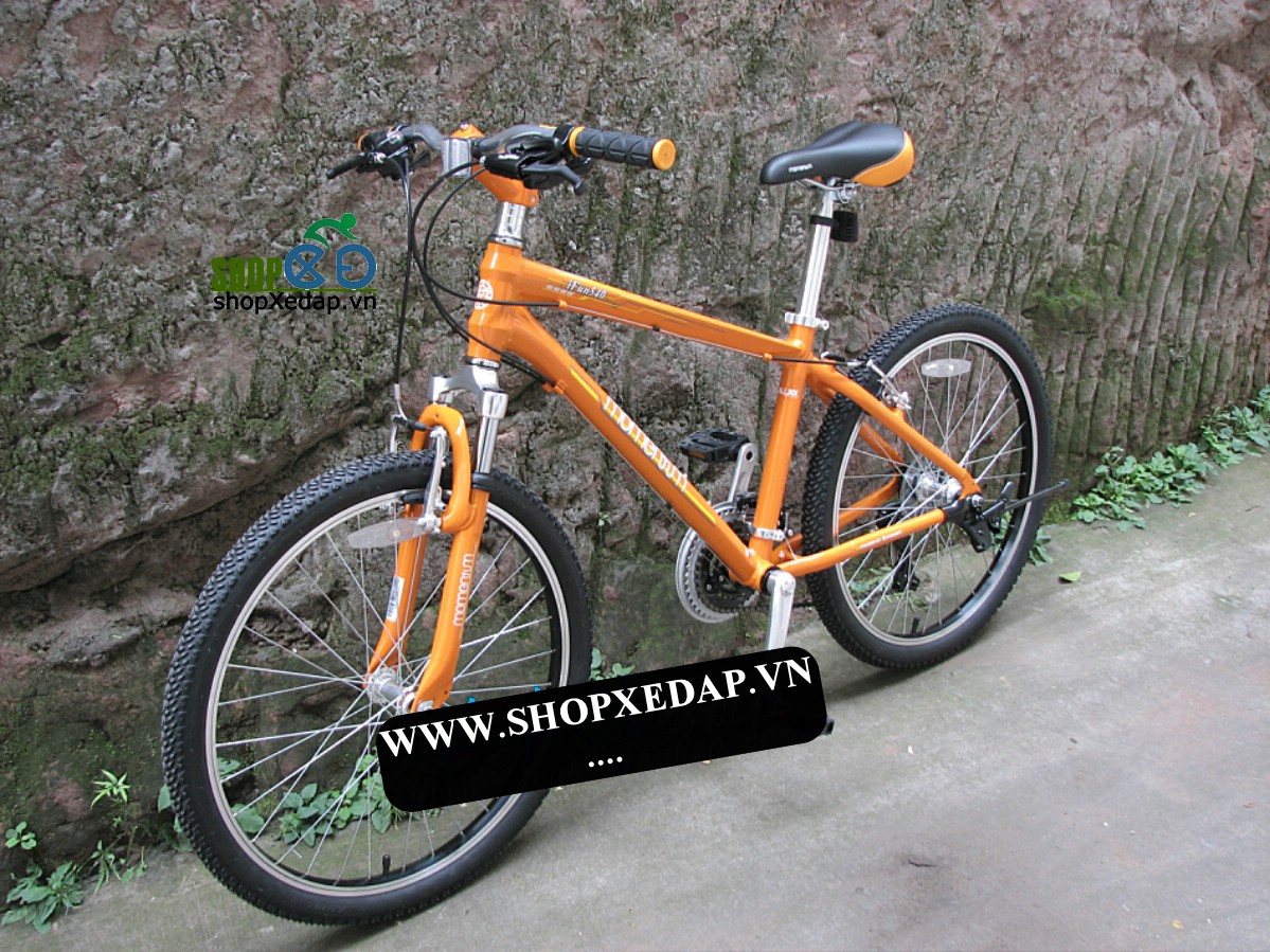 Xe đạp Giant 2013 IFUN540M
