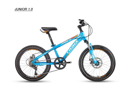 Xe đạp trẻ em TRINX JUNIOR1.0 2018 Blue
