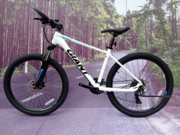 Xe đạp thể thao GIANT ATX 700 2020 Trắng