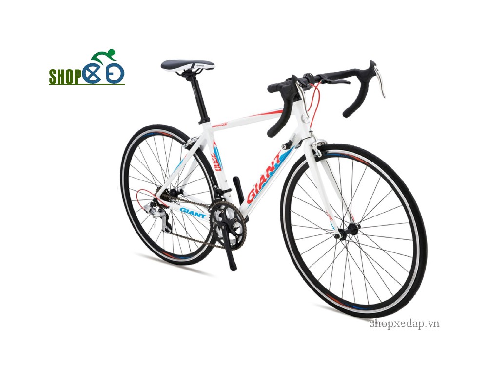 Xe đạp thể thao GIANT WINDMARK 2200
