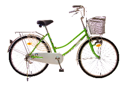 Xe đạp thông dụng - Mini tiêu chuẩn(24