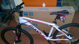 Xe đạp thể thao GIANT 2015 Rincon 777