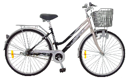 Xe đạp thời trang - Asama VH36K