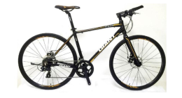 Xe đạp địa hình GIANT 2016 FCR 3100