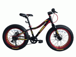 Xe đạp trẻ em TrinX M510D