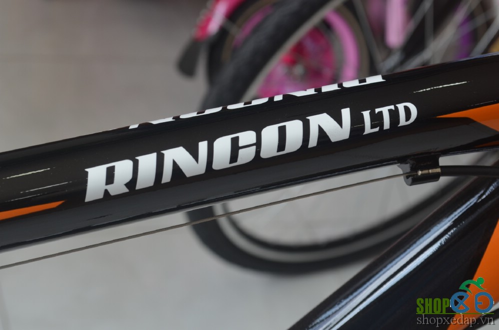 Xe đạp địa hình Giant Rincon LTD 2016 