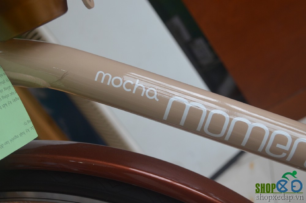 Xe đạp thể thao Giant Ineed Mocha 2016 khung sườn