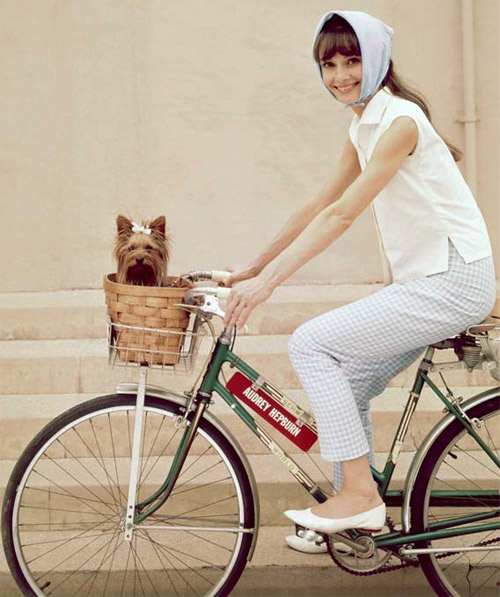 Con gái đi xe đạp - Con gái xinh đẹp khi đi xe đạp không chỉ khoe nét cơ bản căn bản mà còn tỏa sáng cá tính và sự kiên định trong điều mà mình yêu thích. Hãy xem qua những bức ảnh hay video về các cô gái đi xe đạp, một bức tranh lãng mạn với khung cảnh đầy màu sắc và ngọt ngào.