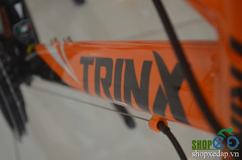 Xe đạp đua TRINX TEMPO 1.0 2016 khung sườn