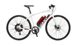 Xe đạp địa hình trợ lực Giant FCR E Plus 2014