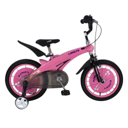 Xe đạp trẻ em LANQ FD1239 2017 Pink