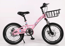 Xe đạp trẻ em Borgki 1870 Pink