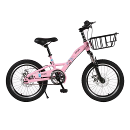 Xe đạp trẻ em Borgki 1670 Pink
