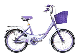 Xe đạp trẻ em Borgki Girl 20 Purple