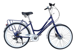 Xe đạp thời trang Makefee Butterfly 24 Blue White