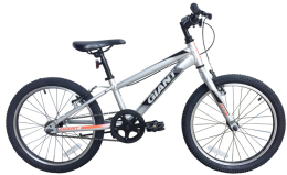 Xe đạp trẻ em GIANT ATX 20-S 2019 Ghi