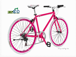Xe đạp thể thao TrinX P260