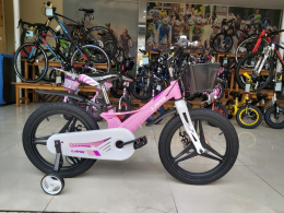 Xe đạp trẻ em LanQ Hunter FD1850 2019 Pink (bánh mâm)