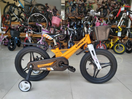 Xe đạp trẻ em LanQ Hunter FD1650 2019 Yellow (bánh mâm)