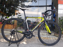 Xe đạp đua Pardus Supper 3 105 R700 Black Yellow