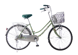 Xe đạp thông dụng - Mini thời trang