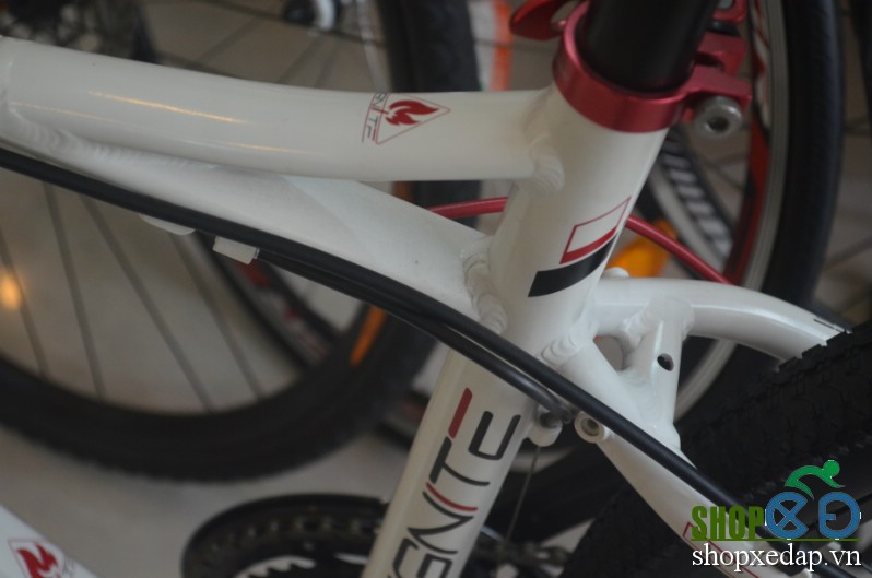  Xe đạp thể thao Jett Ignite White Red 2015