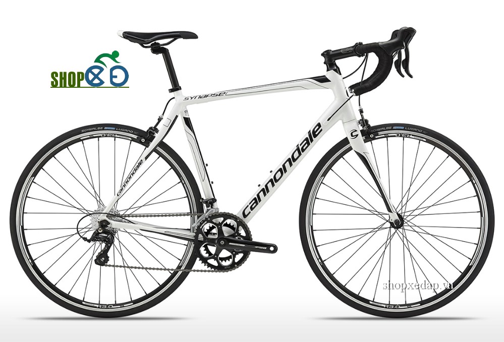 Xe đạp cuộc Canondale Synapse AlLoy 7 Sora WHT 2015