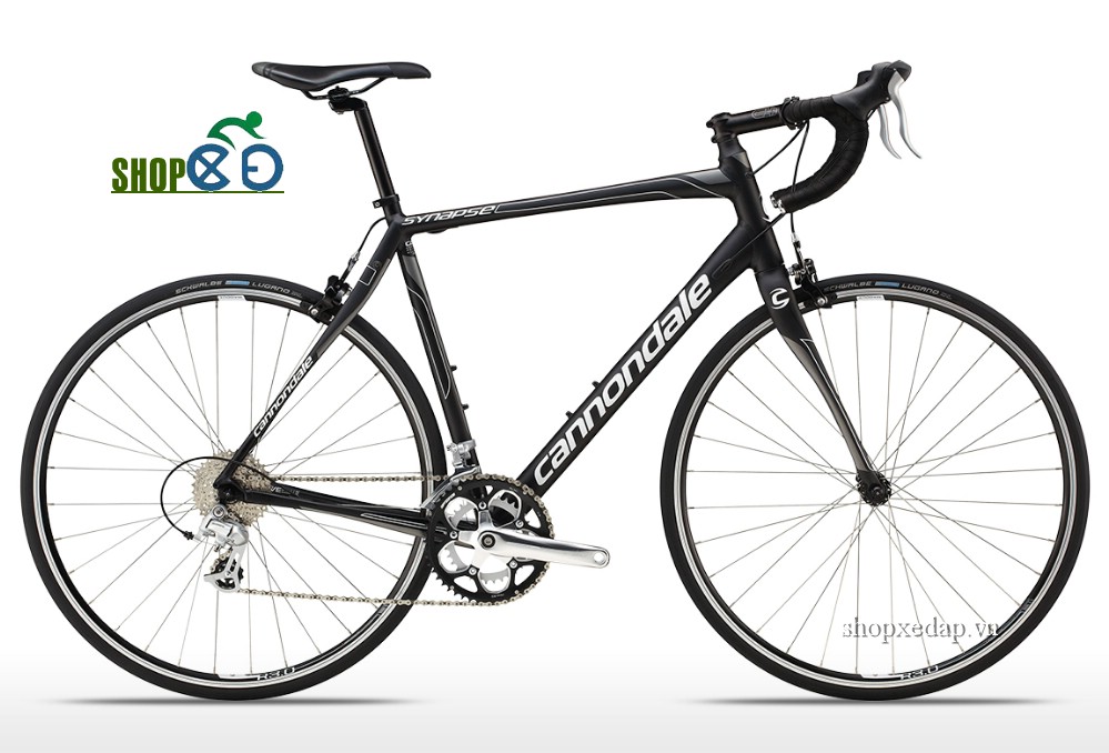 Xe đạp cuộc Canondale Synapse Alloy 8 Claris BBQ 2015