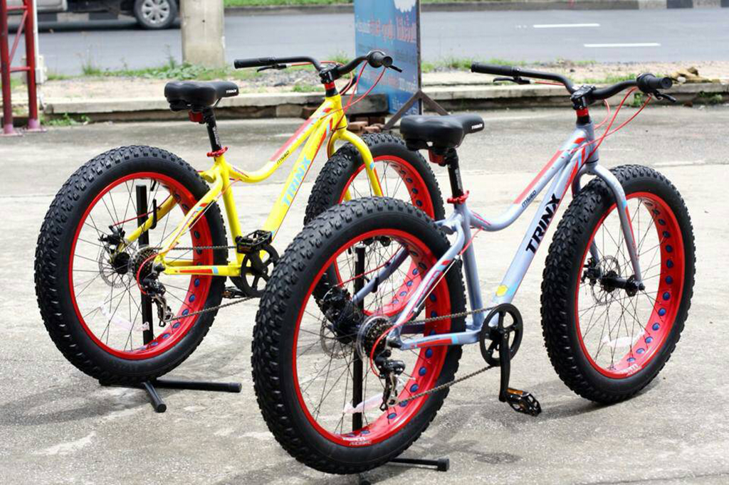 Xe đạp thể thao TrinX Fat Bike M516D