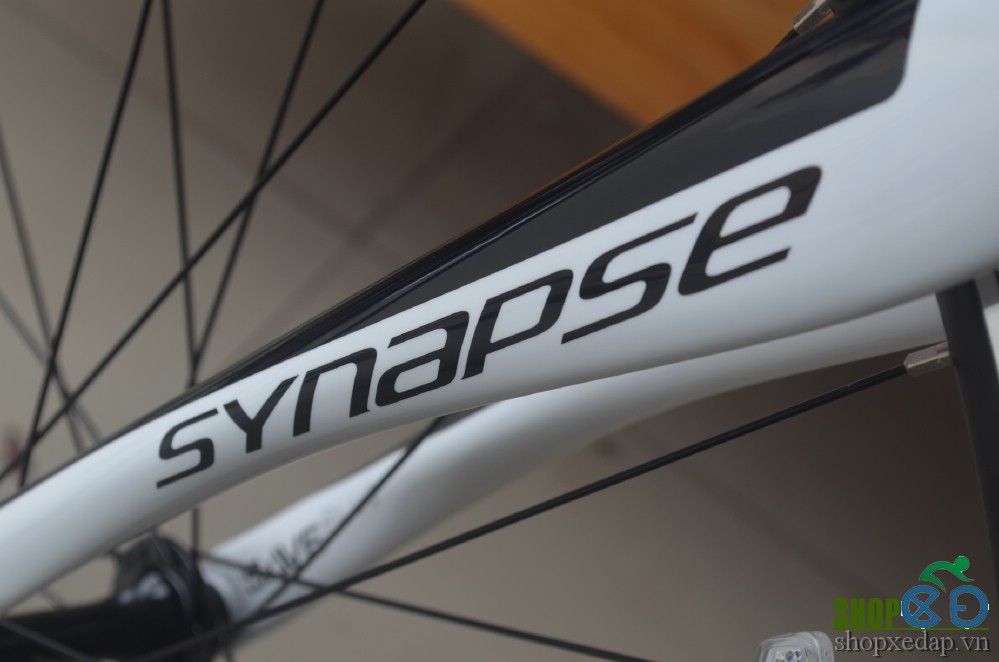 Xe đạp cuộc Canondale Synapse Carbon Tiagra 2016 phuộc