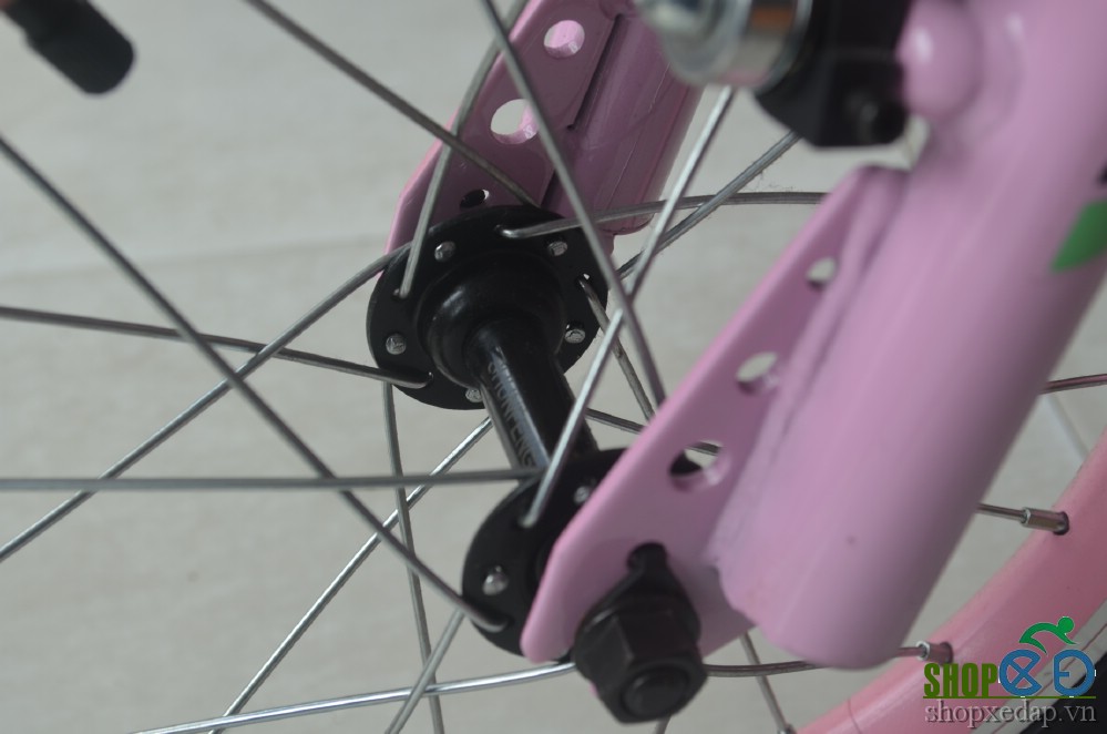 Xe đạp trẻ em Trinx Smart 16 Alumium đùm trước