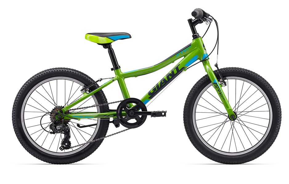 Xe đạp trẻ em XTC JR 20 LITE 2017 xanh lá green
