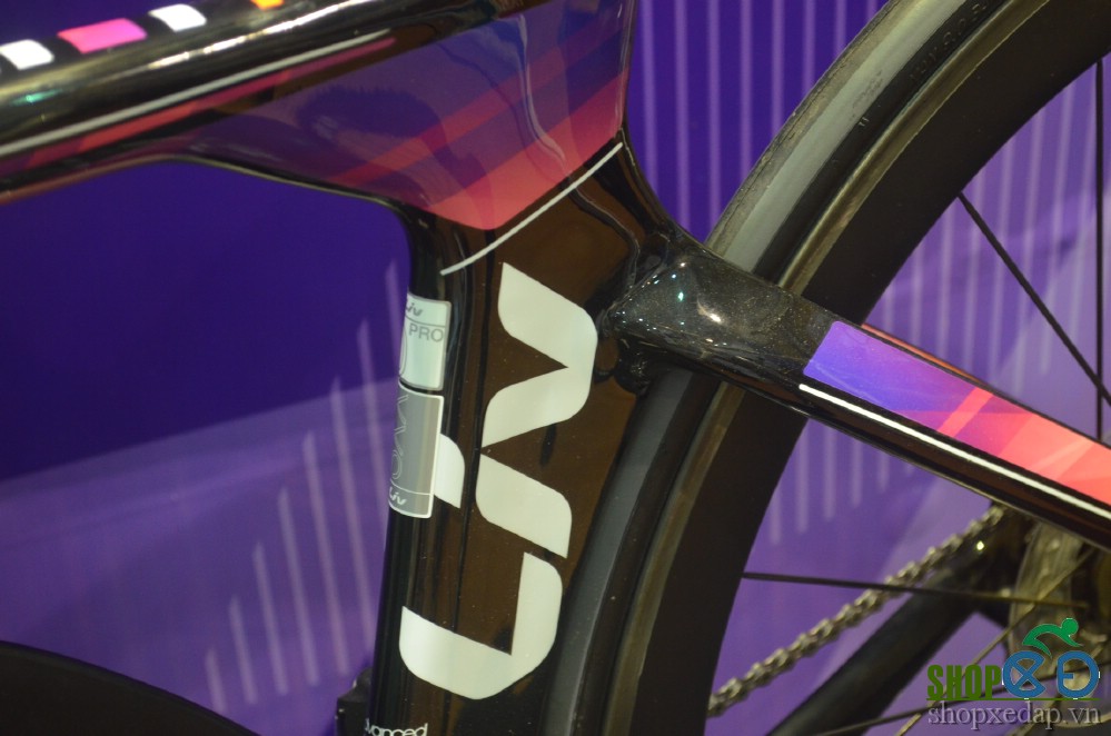 Xe đạp đua GIANT Avow Advanced Pro 0 2017