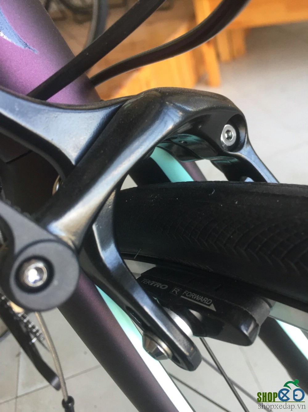 Xe đạp đua Specialized Dolce 2018