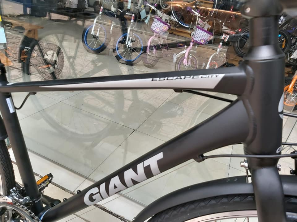 Xe đạp thể thao Giant Escape City 2019 Black
