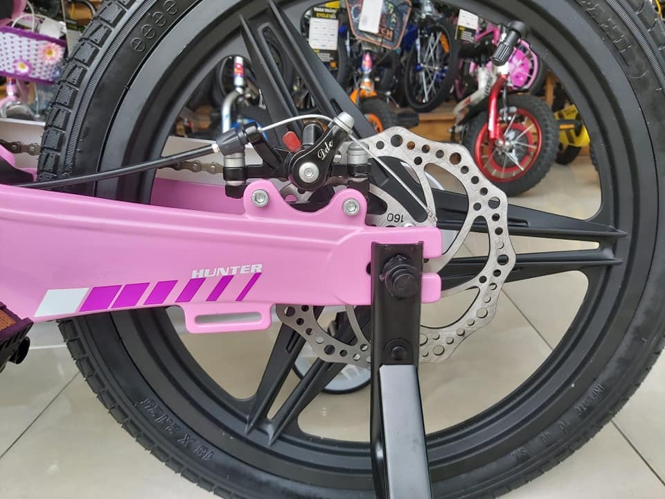 Xe đạp trẻ em LanQ Hunter FD1850 2019 Pink (bánh mâm)