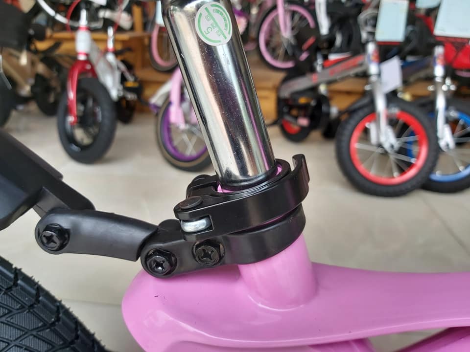 Xe đạp trẻ em LanQ Hunter FD1650 2019 Pink (bánh mâm)