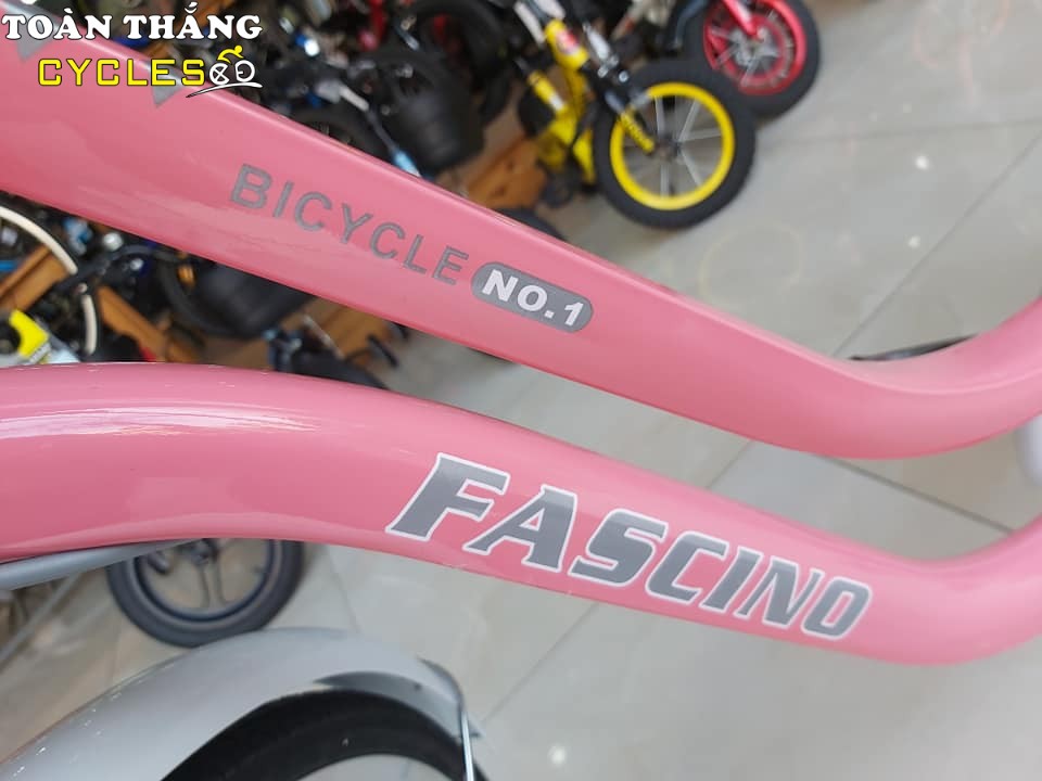 Xe đạp trẻ em Fascino FM24 Girl Hồng Trắng