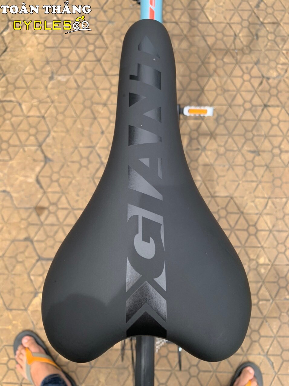 Xe đạp thể thao GIANT 2021 SPEEDER-D1
