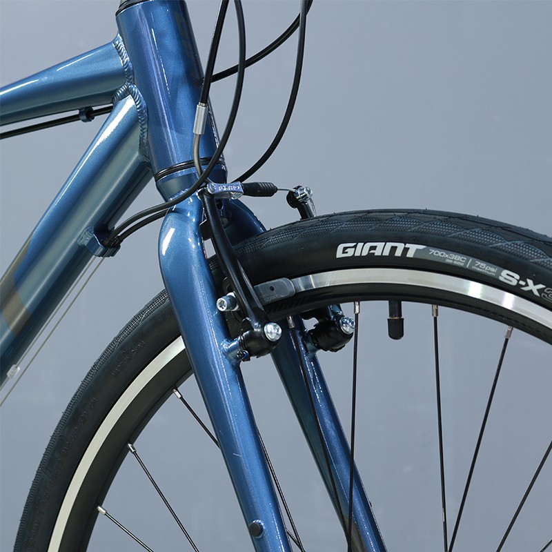 Xe đạp thể thao Giant Escape 3 2021 Blue