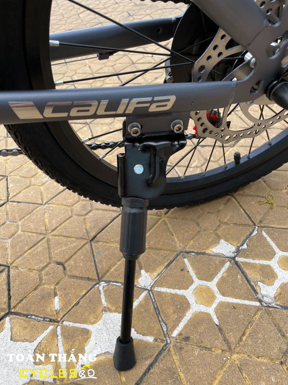 Xe đạp gấp Califa 2021 20inch Gray