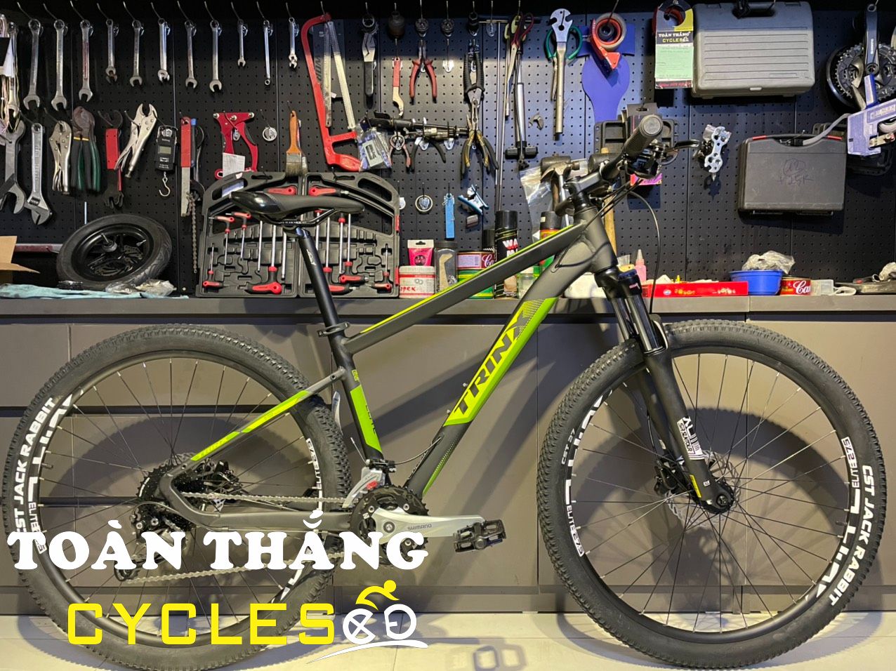 Xe đạp địa hình TRINX Elite D700 Alivio 2022 Black Green 