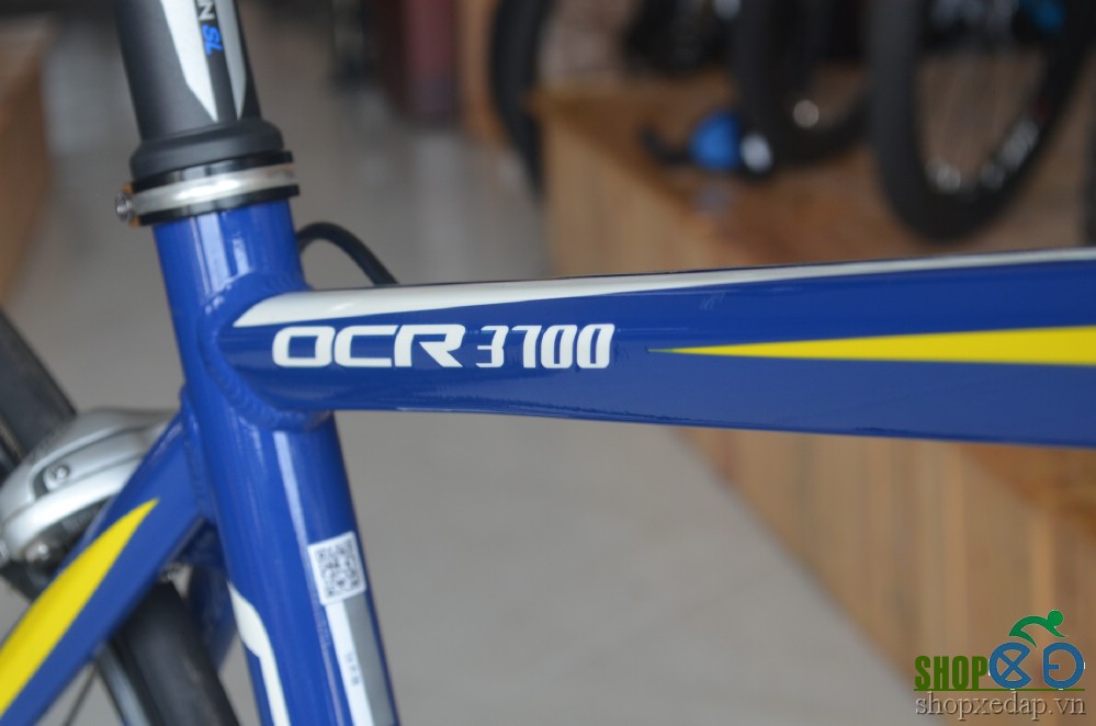 Xe đạp thể thao đua GIANT OCR 3700 tem sơn nước