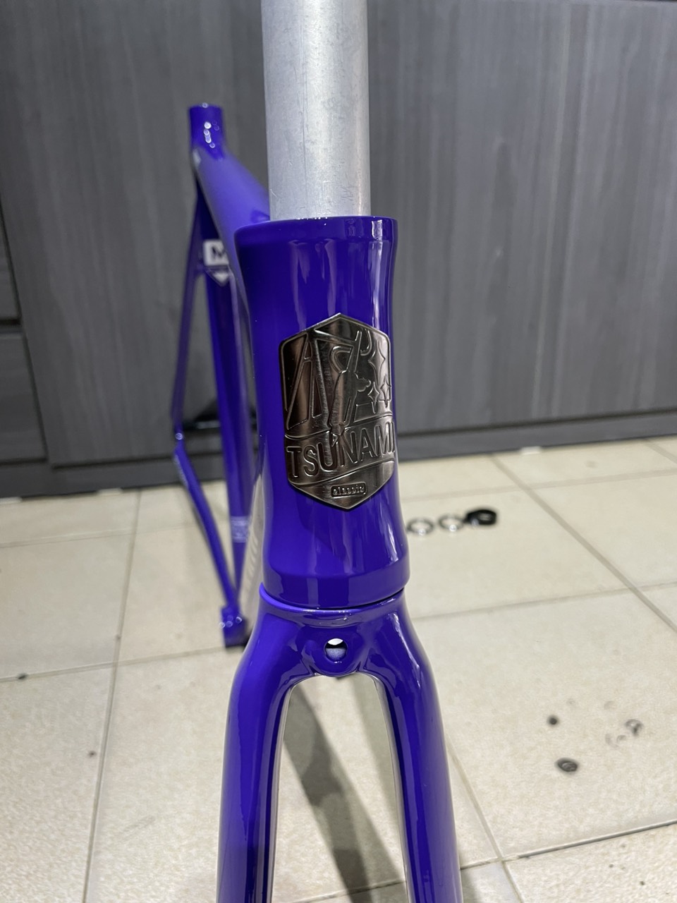 Khung sườn xe đạp Fixed Gear Tsunami SNM100 Purple