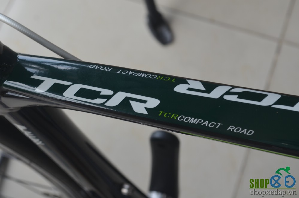 Xe đạp thể thao cuộc GIANT TCR 6700 khung sườn