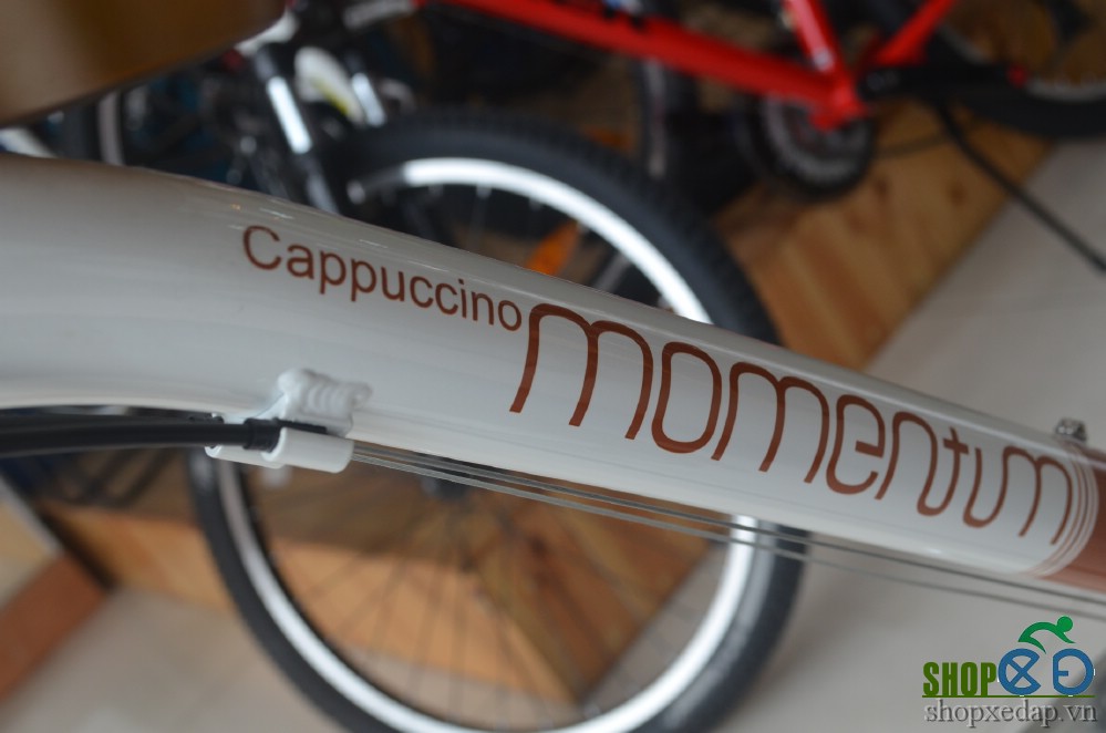 Xe đạp thể thao Giant Ineed Cappuccino 2016  khung sườn